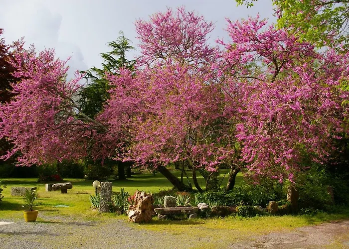 Domaine Les Grandes Roches