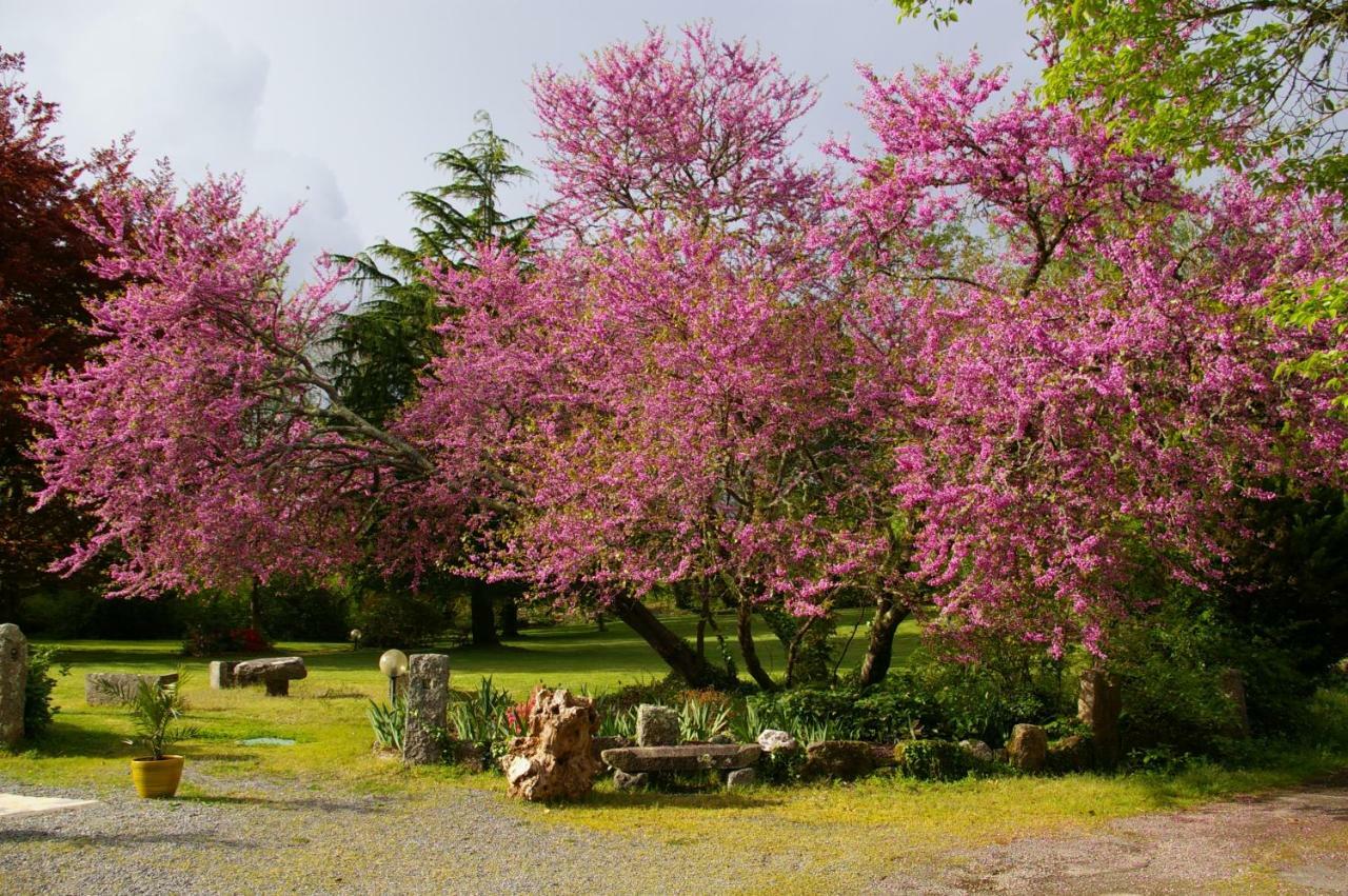 Bed & Breakfast Relais Du Silence Les Grandes Roches Tregunc