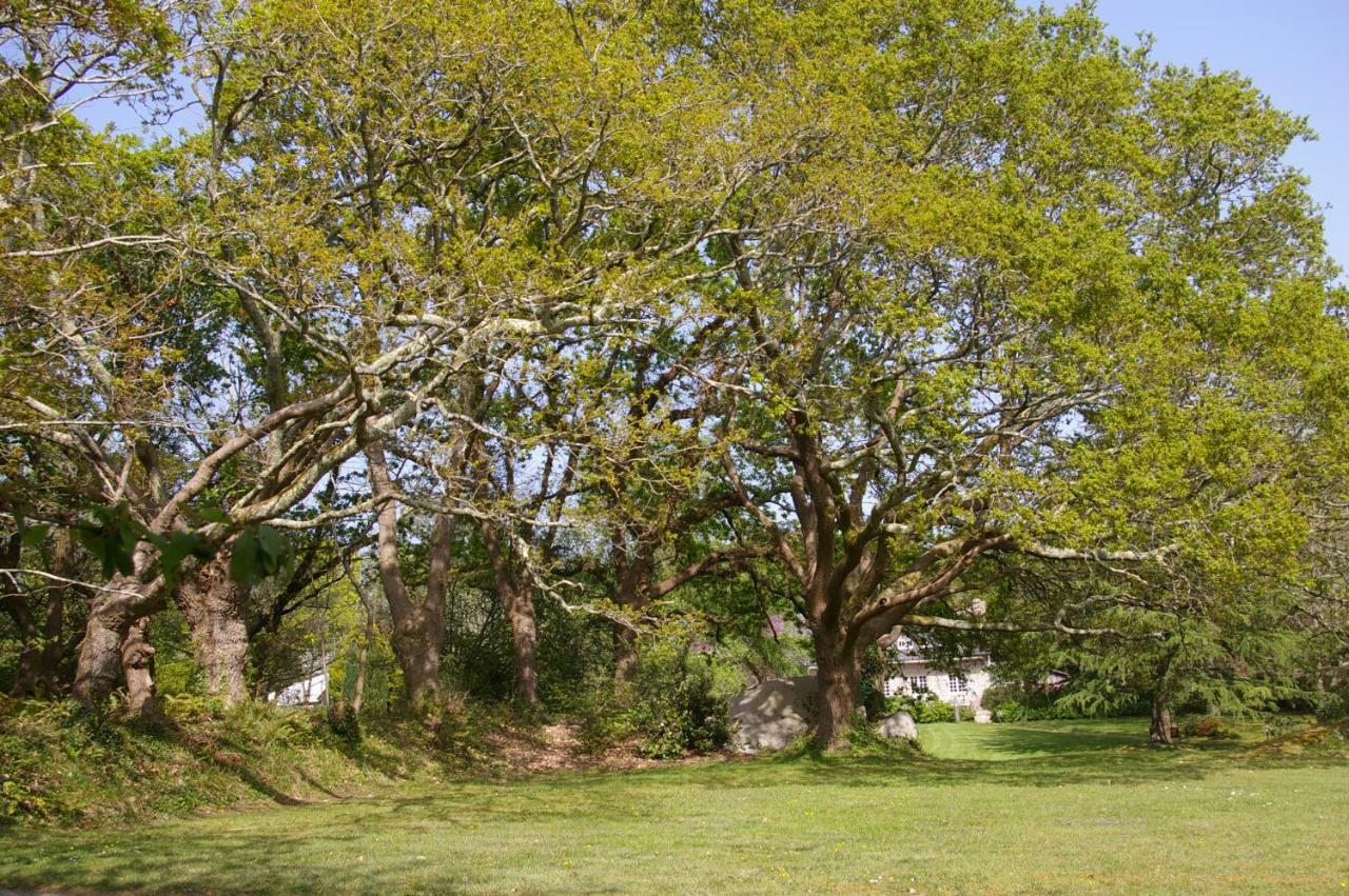 Domaine Les Grandes Roches